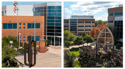 Downers Grove and Glendale campuses.