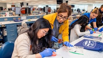 High school students use dental picks on mouth models.