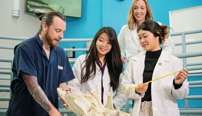 学生 examining skull in lab