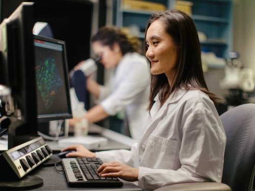 Student sitting at computer in lab.