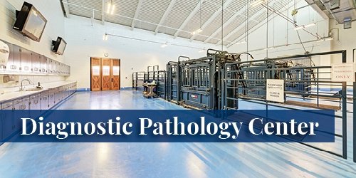 Diagnostic Pathology Center.